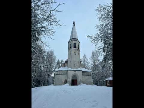 Видео: Бах в зимнем лесу. Пастораль.