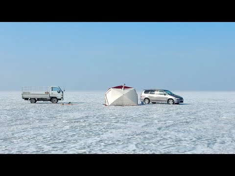 Видео: Рыбалка в Приморье. Озеро Ханка. Жерлицы. Сом. 01 - 02.03.2019 г.