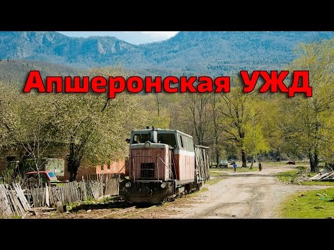 Видео: Апшеронская узкоколейная железная дорога // Apsheronsk Narrow-gauge Railway
