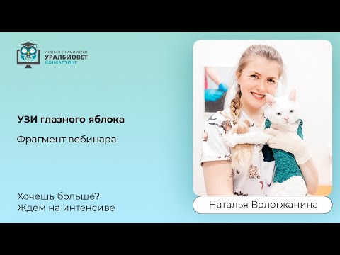 Видео: Фрагмент интенсива "УЗИ глазного яблока", лектор Наталья Вологжанина