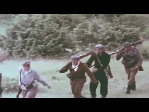 Видео: Никола Бадев - Ми заплакало селото Ваташа / Nikola Badev - Mi zaplakalo selo Vatasa / Ваташa