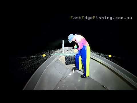 Видео: Проверка чистого баррамунди в октябре 2025 г.