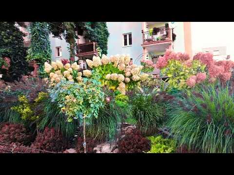 Видео: 🍁🏡Так бы везде? Как ПОЛЯКИ  заботятся о придомовых территориях Осень и цветники у домов Понравилось?