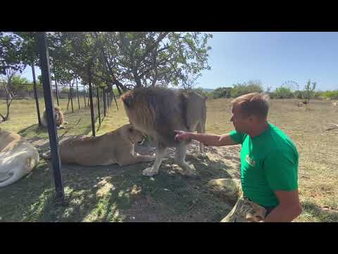 Видео: Как мы бегали от льва Чука ! Клаву НЕ МОЖНО обижать !
