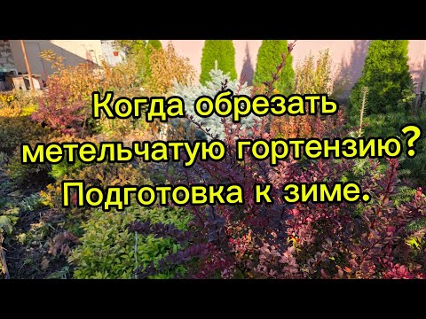 Видео: Что нужно сделать перед зимовкой?Ответы на вопросы