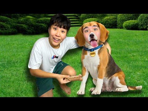 Видео: АҒАМ ИТКЕ АЙНАЛЫП КЕТТІ ! *сиқыршы итке айналдырды*😱✅
