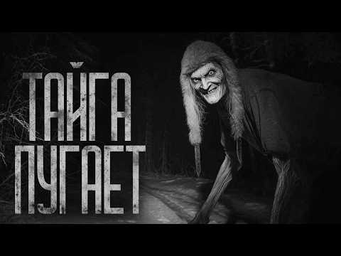 Видео: ТАЙГА ПУГАЕТ! Страшные истории и страшилки.