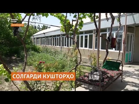 Видео: Солгарди кушторҳои Конибодом. Ҳанӯз ҳам суолҳои беҷавоб зиёд будааст