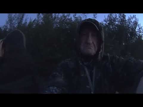 Видео: Добыт кабан🐗Осень 2025🇧🇾Беларусь #охота2025 #кабан #беларусь 