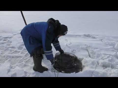 Видео: Рыбалка с Серёгами! Ловля рыбы на донку и жерлицы!