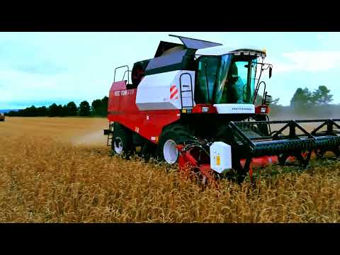 Видео: уборочные работы Новоселовского района.