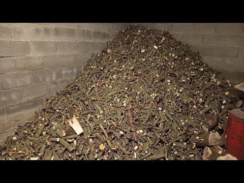 Видео: Як горить сира щепа