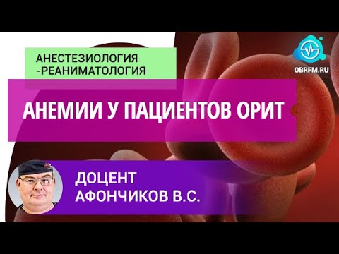 Видео: Доцент Афончиков В.С.: Анемии у пациентов ОРИТ