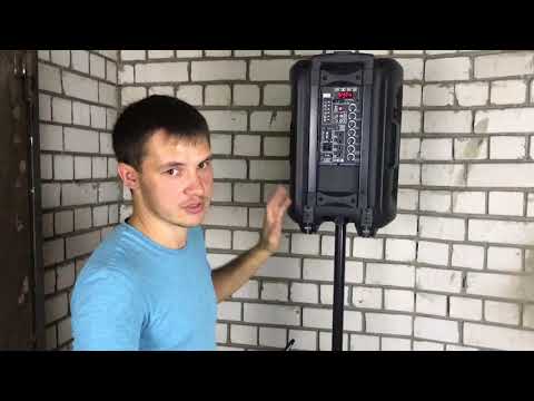 Видео: Обзор портативных акустических систем с микрофонами