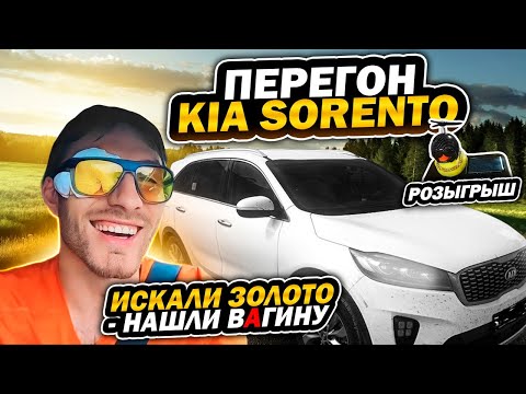 Видео: Перегон авто из Владивостока. Благовещенск - Тобольск