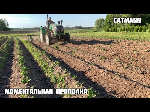 Видео: Прошёл ежами за 20 минут , 20 соток ,  полоть картофель больше не надо ! Трактор CATMANN XD 25.4