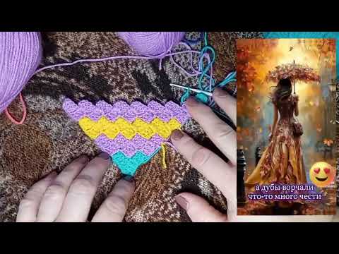 Видео: СП "Пледомания3_второй отчет_7.11.2025г.