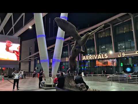 Видео: Аэропорт Каира. Самая сложная регистрация на рейс в Индию.