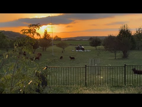 Видео: Распаковка | Новости о Здоровье Манушак