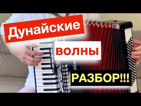 Видео: Дунайские Волны - Разбор как играть с нуля на Аккордеоне - Бесплатный урок Аккордеона