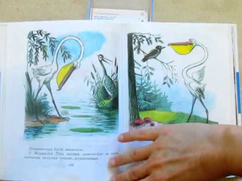 Видео: В. Сутеев. Сказки и картинки