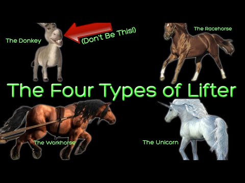 Видео: 4 архетипа наращивания мышечной массы (рабочая лошадка против скаковой лошади)