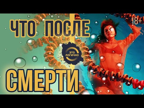 Видео: Что происходит после смерти. Философский взгляд.