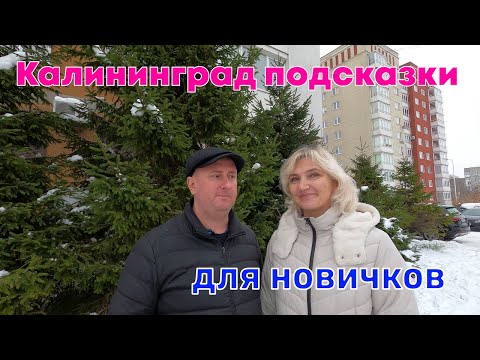 Видео: Калининград. Подсказки для новичков