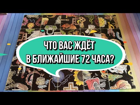 Видео: 💯ЧТО ВАС ЖДЕТ В БЛИЖАЙШИЕ 72 ЧАСА⁉️гадание пасьянс Tarot Reading