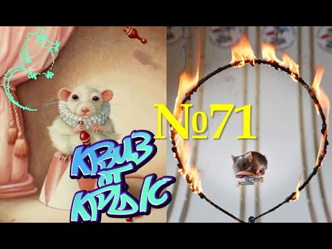 Видео: КВИЗ от КРЫС эпизод 71 QUIZ ot KRYS ep #71