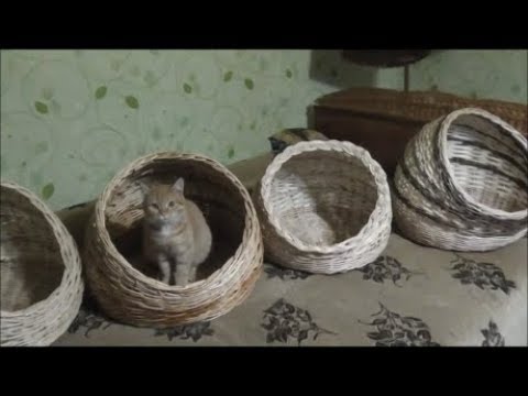 Видео: Плетение корзин из ивового прута ( лозы ) "Кошачий дом"