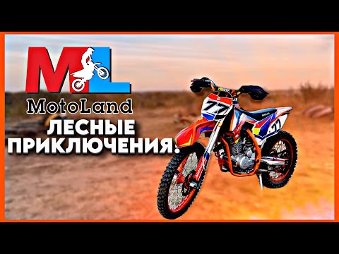 Видео: ПЕРЕСЕЛ С АЛЬФЫ НА ЭНДУРИК, ЛЕСНЫЕ ПРИКЛЮЧЕНИЯ!