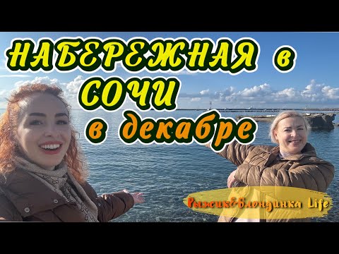 Видео: Прогулка по новогодней НАБЕРЕЖНОЙ в СОЧИ 🎄 Увидели ДЕЛЬФИНОВ у берега🐬 Загадали желание на 2025🙌🏻