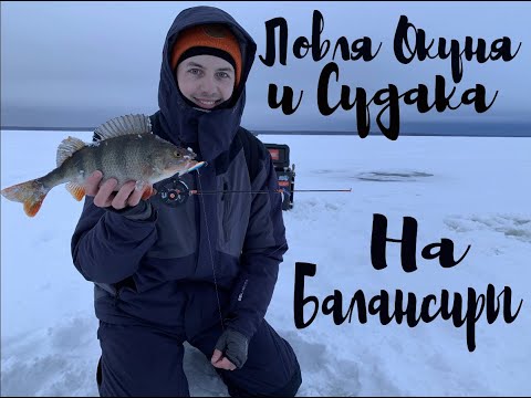 Видео: Ловля Крупного Окуня и Судака на Балансиры! Балансир на реке!