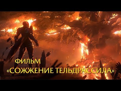 Видео: Фильм «Сожжение Тельдрассила» | Battle for Azeroth