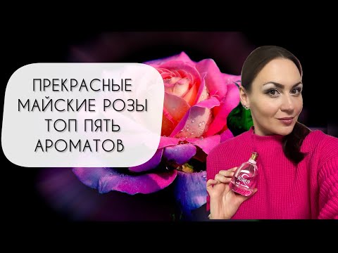 Видео: ТОП ПЯТЬ ЛУЧШИХ АРОМАТОВ С МАЙСКОЙ РОЗОЙ\ ПРЕКРАСНЫЕ И ОЧАРОВАТЕЛЬНЫЕ