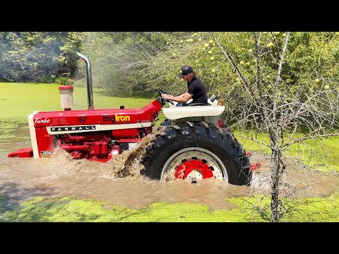 Видео: У меня есть 60 дней, чтобы этот Farmall перестал существовать.