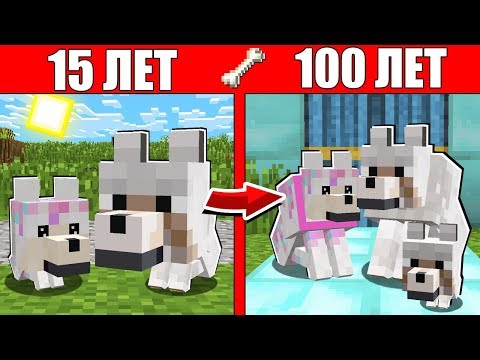 Видео: Как семья Волка и Девушки прожила жизнь 1 годик 100 лет Майнкрафт Жизненный Цикл Эволюция Мобов 100%