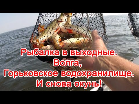 Видео: Рыбалка в выходные. Волга, Горьковское водохранилище. Рыбачил два дня, вернее два утра. Ловил окуня.