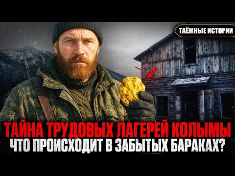 Видео: Тайна ТРУДОВЫХ ЛАГЕРЕЙ на Колыме: ЧТО Сегодня Происходит в Забытых Бараках? Таёжные Истории
