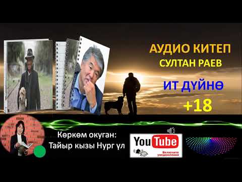 Видео: СУЛТАН РАЕВ: ИТ ДҮЙНӨ