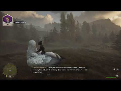 Видео: Hogwarts Legacy: День 7. Полное прохождение за Когтевран