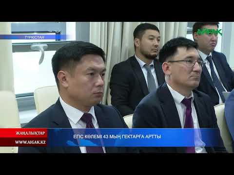 Видео: 04.11.2025 ж. ЕГІС КӨЛЕМІ 43 МЫҢ ГЕКТАРҒА АРТТЫ