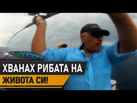 Видео: Хванах РИБАТА на ЖИВОТА СИ! / Занзибар и рибата на рибите III част