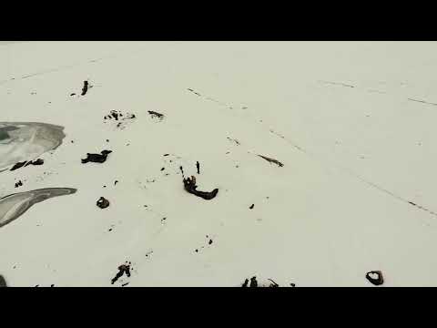 Видео: Бактияр Назарбаев Жазым келчи