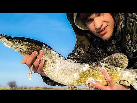 Видео: ПРАВИЛЬНАЯ ОСНАСТКА ЖЕРЛИЦЫ НА ЩУКУ! ЛЕСКА, ПОВОДОК, КРЮЧОК, СКОЛЬЗЯЩИЙ ГРУЗ – ВСЁ, ЧТО НУЖНО ЗНАТЬ!
