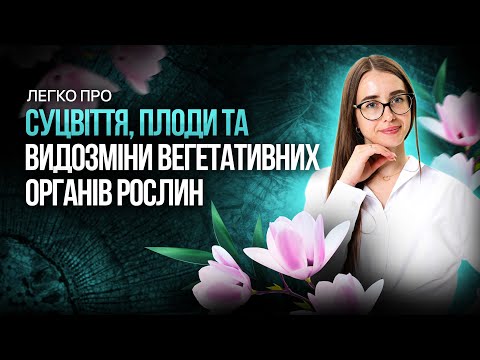 Видео: Тканини, органи рослин #turbozno #нмт #біологія