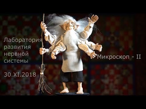Видео: С. В. Савельев о развитии микроскопической техники. Часть 2.
