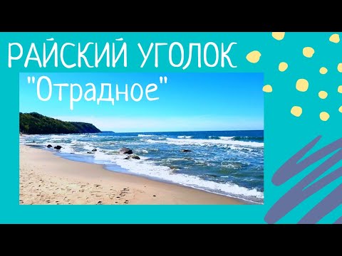 Видео: ✨Секретные, сказочные дороги к Балтийскому морю 🌈Отрадное - райский уголок Калининградской области