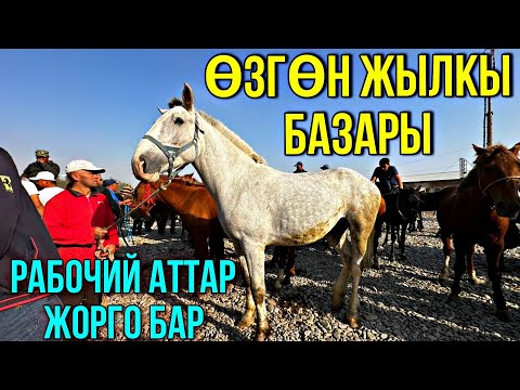 Видео: ӨСПҮРҮМ БААЛАРЫ КАНДАЙ БОЛДУ 🤯 #байтв